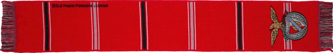 Cachecol Benfica Grupo SLB