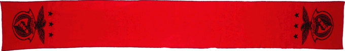 Cachecol Benfica Pack Dia Do Pai 2010