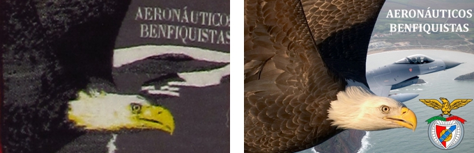 cachecol benfica aeronauticos benfiquistas